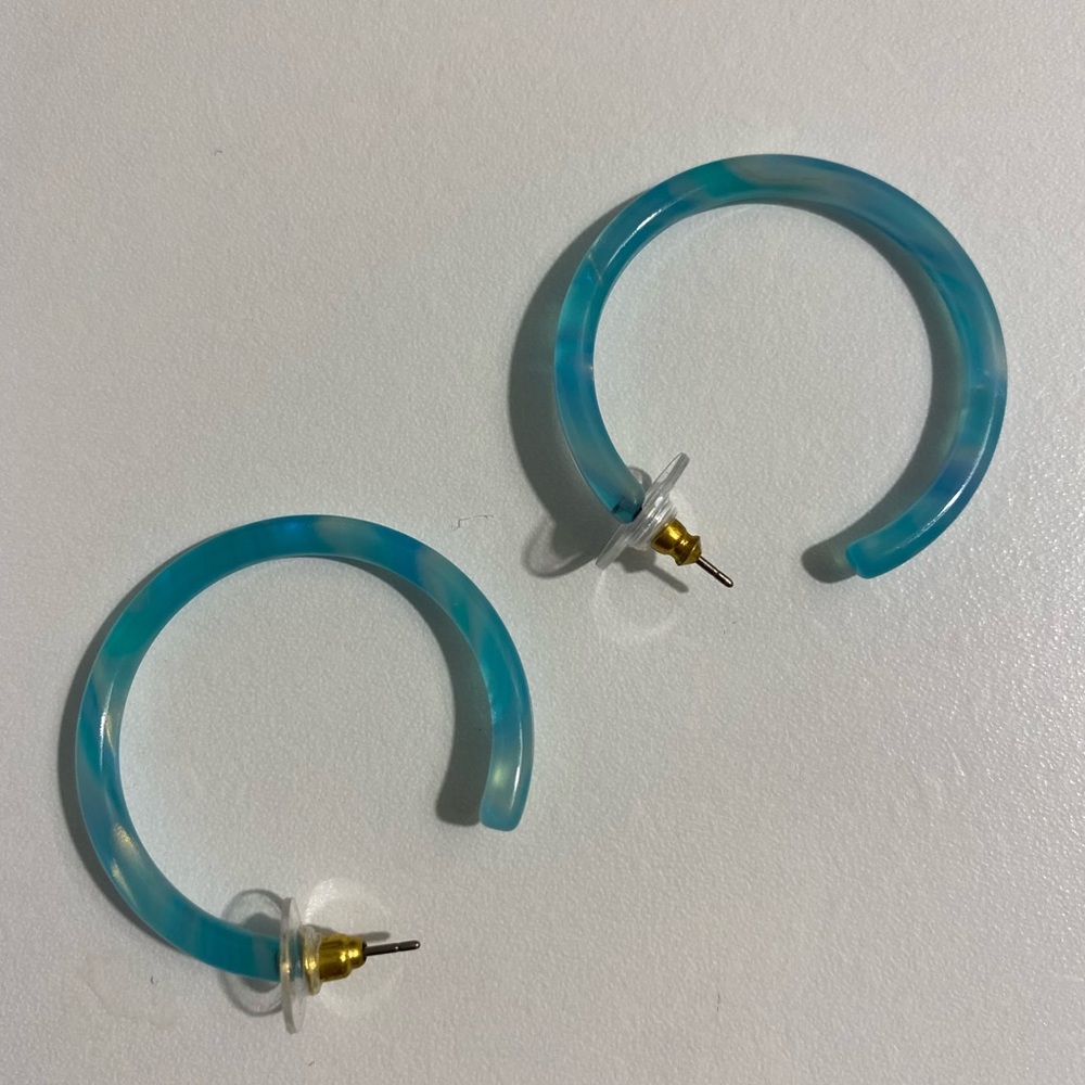 Turquoise tortoise earrings